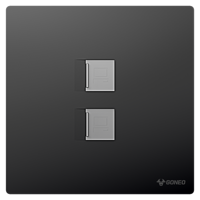 2-gang Computer Outlet (Cat6)