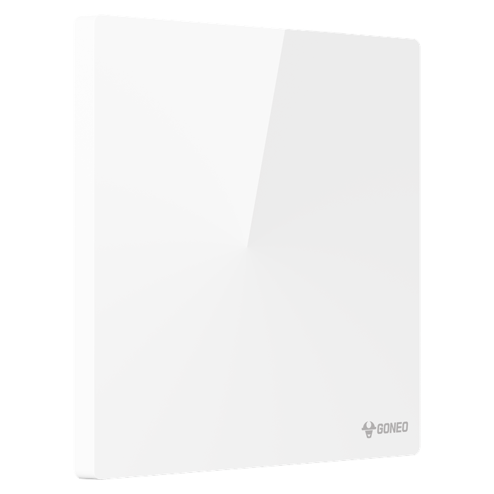 Blank Plate