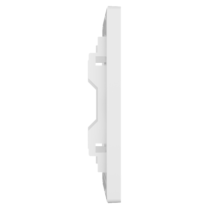 Blank Plate