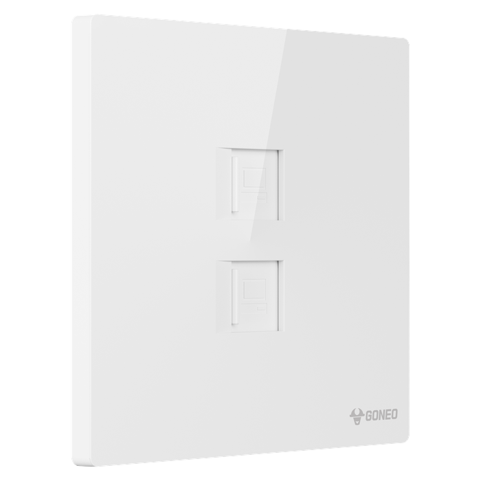 2-gang Computer Outlet (Cat6)