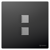 2-gang Computer Outlet (Cat6)